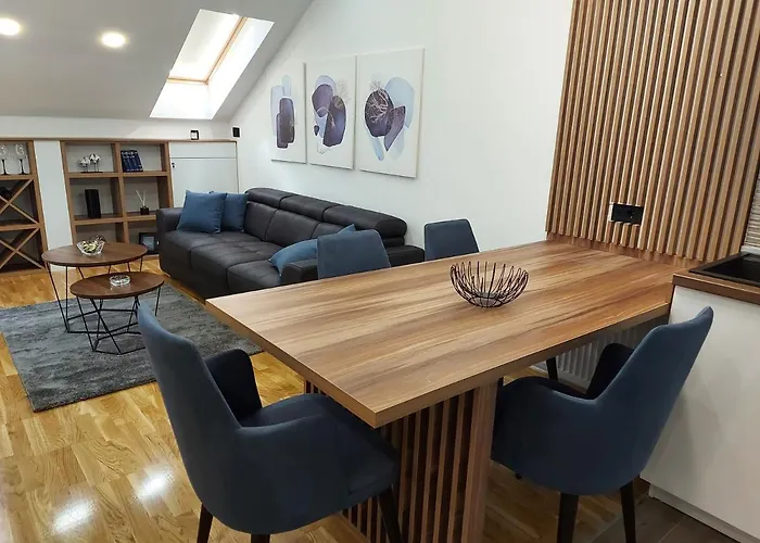 公寓 Tri S Lux 阿然德洛维克