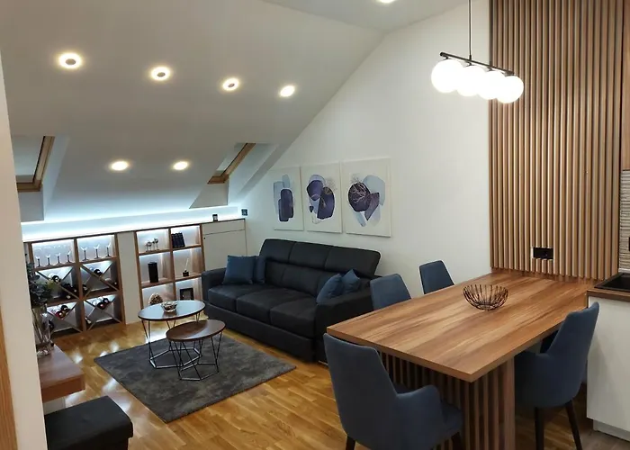 公寓 Tri S Lux 阿然德洛维克