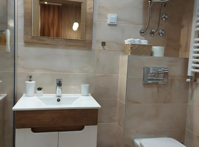 公寓 Tri S Lux 阿然德洛维克