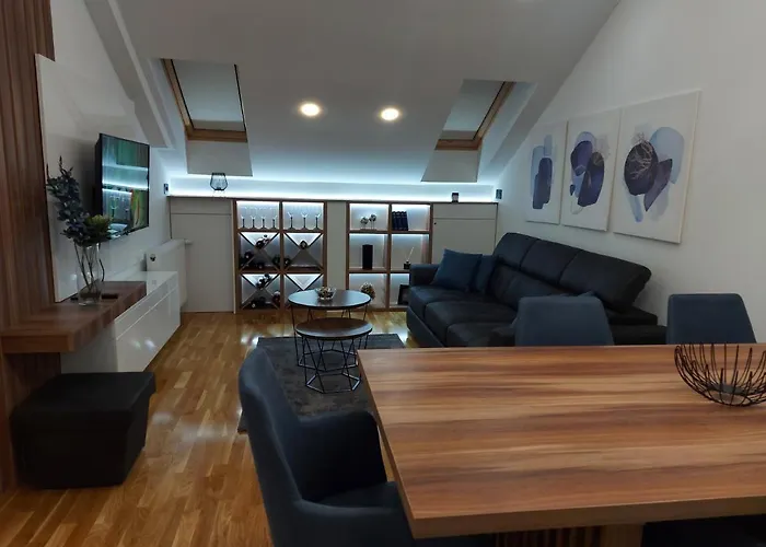 公寓 Tri S Lux 阿然德洛维克